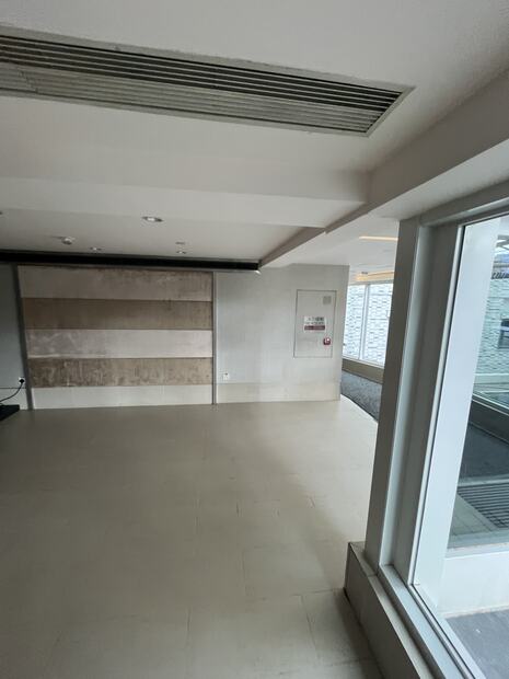 Feature wall and window