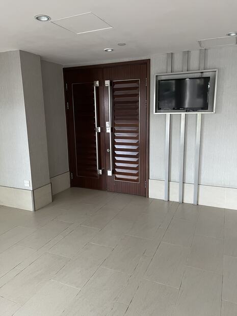 Wood doors wall tv