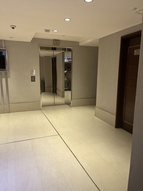 Lift mirrored doors